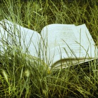 book in the grass